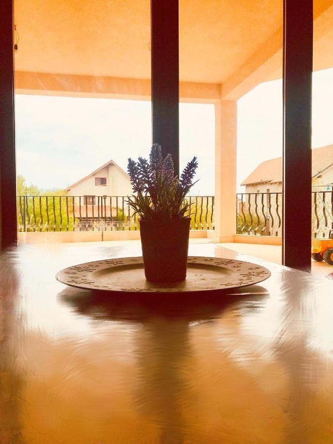 Breeze Villa Mamaia Nord Navodari Bagian luar foto
